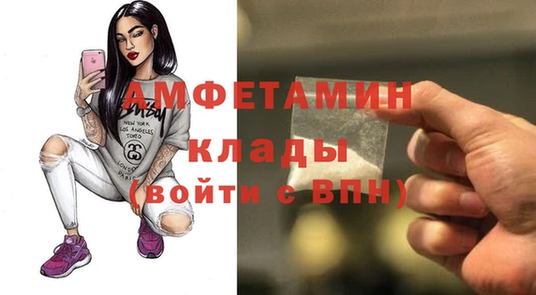 шишки Осташков
