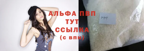 шишки Осташков