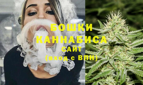 шишки Осташков