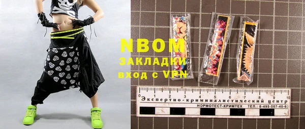 шишки Осташков