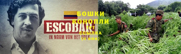 шишки Осташков