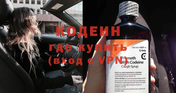шишки Осташков