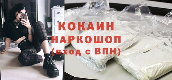 прущие грибы Болотное