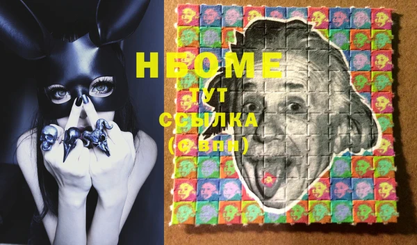 шишки Осташков